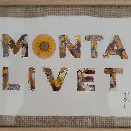 Monta Casa * Vendays-Montalivet